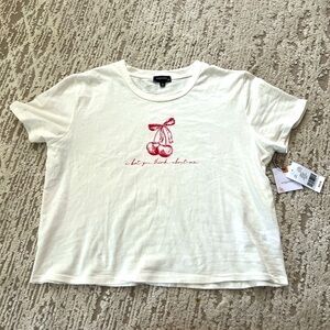 Taylor Swift lyric crop top